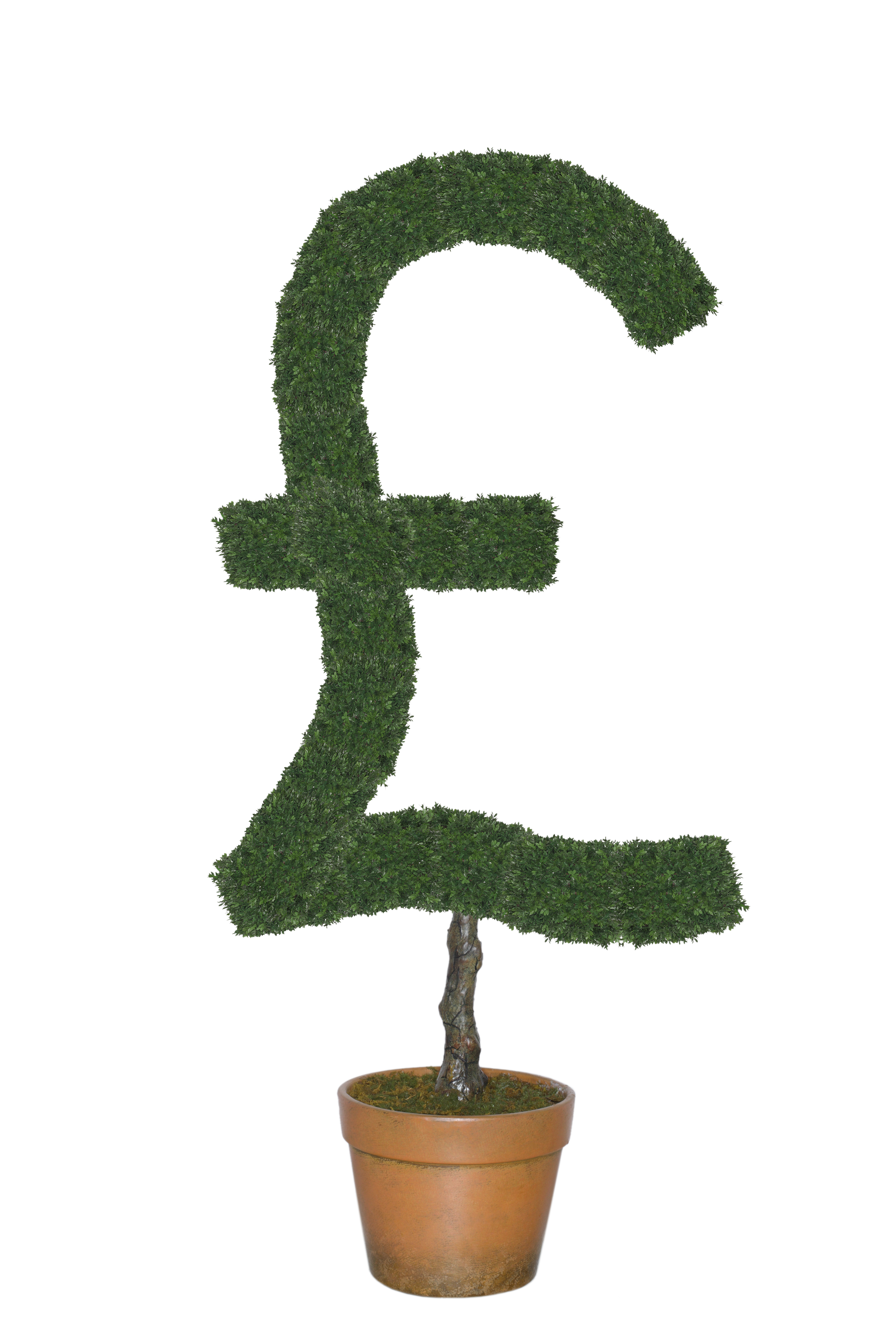 A £ sign growing from a plant pot.
